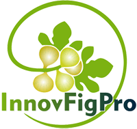 logo_v_small
